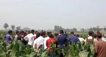 রাণীশংকৈলে ভুট্টাক্ষেত থেকে মোয়াজ্জিনের হাত-পা বাধা লাশ উদ্ধার 