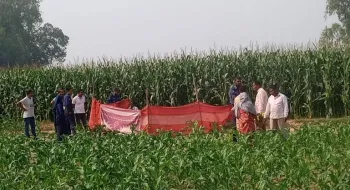 ঠাকুরগাঁওয়ে ভূট্টা ক্ষেত থেকে নারীর মরদেহ উদ্ধার, পলাতক স্বামী 