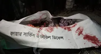 নীলফামারীতে সড়ক দূর্ঘটনায় প্রাণ গেল যুবকের