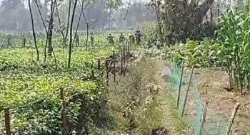 দহগ্রাম সীমান্তে আবারও বিএসএফের কাটাতারের বেড়া নির্মাণের চেষ্টা