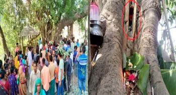 শতবর্ষী বটগাছের ভেতর থেকে বেরিয়েছে অলৌকিক হাত, শতশত মানুষের ভিড় 
