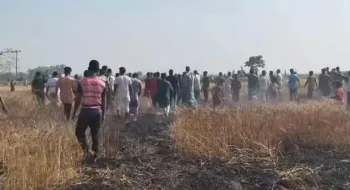 রাণীশংকৈলে ২৫ বিঘা গমের ক্ষেত আগুনে পুড়ে ছাই, কৃষকরা দিশেহারা 