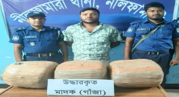 হবিগঞ্জ থেকে পাঠানো বাদামের দুই বস্তায় গাঁজা ধরা পড়লো নীলফামারীতে