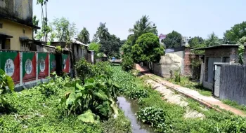 মরণাপন্ন’ শ্যামাসুন্দরীকে বাঁচাতে এবার বরাদ্দ ১৫ কোটি টাকা!
