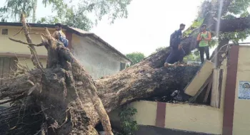 লালমনিরহাটে পাঁচ উপজেলায় কালবৈশাখীতে ব্যাপক ক্ষয়ক্ষতি