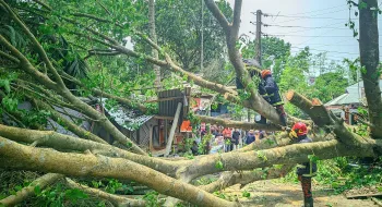 রংপুরে কালবৈশাখী ঝড়ে তছনছ বাড়িঘর, ফসলের ব্যাপক ক্ষতি