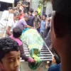 কুড়িগ্রামে শিয়াল মারার ফাঁদে প্রাণ গেল এক বৃ‌দ্ধের