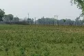 পাটগ্রাম সীমান্তে এসএসসি পরীক্ষার্থীসহ দু‘জনকে ধরে নিয়ে গেছে বিএসএফ