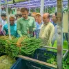 রংপুরে ২৪টি ভ্যানে বিক্রি হচ্ছে নিরাপদ সবজি 