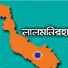 পাটগ্রামে সুপারি চুরি করতে গিয়ে গাছ থেকে পড়ে মৃত্যু