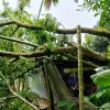 লালমনিরহাটে কালবৈশাখী ঝড়ে লন্ডভন্ড হাজার হাজার ঘরবাড়ি 