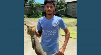 রংপুরে সান্ডা ভেবে গুইসাপ উদ্ধার