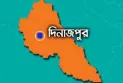 দিনাজপুরের বিরল সীমান্তে ১৩ জনকে পুশই