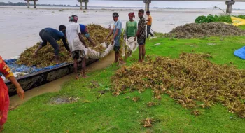 টানা বর্ষণে তিস্তায় পানি বেড়ে কাউনিয়ায় তলিয়ে গেছে বাদাম খেত