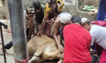 দ্বিতীয় দিনেও চলছে পশু কোরবানি