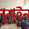 দিনাজপুরে বিরামপুর সীমান্ত দিয়ে  ১৫ জনকে পুশইন করেছে বিএসএফ