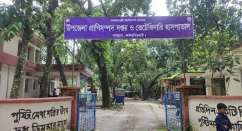 পাটগ্রামে ছড়িয়ে পড়েছে লাম্পি স্কিন ডিজিজ, আক্রান্ত হাজারো গরু