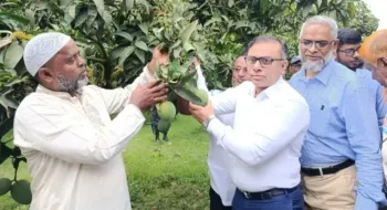 ‘হাড়িভাঙ্গা আম রংপুরের গর্ব’: জেলা প্রশাসক রবিউল ফয়সাল