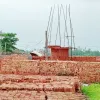 রংপুরে প্রশাসনকে বৃদ্ধাঙ্গুলি দেখিয়ে আবারও নির্মাণ করা হচ্ছে ইটভাটা