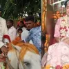 ঐতিহ্যকে ধারণ করে এক ব্যতিক্রমী বিয়ের আয়োজন দেখল ঠাকুরগাঁওয়ের মানুষ