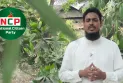 রংপুর-৪ আসনে এনসিপির প্রার্থী আখতার হোসেন