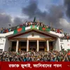 গণহত্যা চালালেও ক্ষমতা টেকাতে পারেনি স্বৈরাচারী আ. লীগ সরকার
