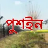 পঞ্চগড়ে সীমান্ত পুশইন, শিশুসহ আটক ১৫ জন