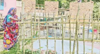 একমাত্র সন্তানকে হারিয়ে অথই সমুদ্রে জাকিরের মা