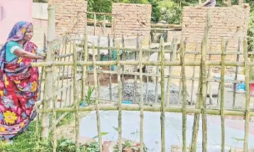 একমাত্র সন্তানকে হারিয়ে অথই সমুদ্রে জাকিরের মা