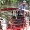 লোহার খাঁচায় চার সন্তান নিয়ে রাস্তায় ঘুরছেন মা