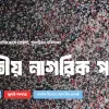এক মাসে প্রায় ১৬ লাখ টাকা অনুদান পেল এনসিপি