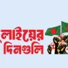 চেয়েছিলাম অধিকার হয়ে গেলাম রাজাকার