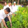 নীলফামারীতে ১৫ দিন ব্যাপী বৃক্ষমেলা শুরু