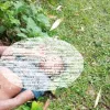 রংপুরে যুবকের মরদেহ উদ্ধার