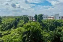 বেগম রোকেয়া বিশ্ববিদ্যালয় বিরল গাছের সংগ্রহশালা: এ যেন এক ‘ট্রি মিউজিয়াম’