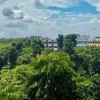 বেগম রোকেয়া বিশ্ববিদ্যালয় বিরল গাছের সংগ্রহশালা: এ যেন এক ‘ট্রি মিউজিয়াম’