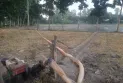 দেশের উত্তরাঞ্চলের জলবায়ু পরিবর্তন