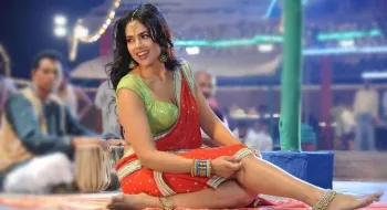 ১৩ বছর পর ফিরছেন ‘তেজ’-এর সেই অভিনেত্রী
