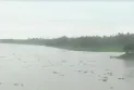 কুড়িগ্রামে দুধকুমার নদের পানি বিপৎসীমার উপরে
