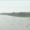 কুড়িগ্রামে দুধকুমার নদের পানি বিপৎসীমার উপরে