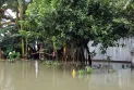 রংপুরের তিন উপজেলায় প্রায় দেড় হাজার পরিবার পানিবন্দী