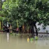 রংপুরের তিন উপজেলায় প্রায় দেড় হাজার পরিবার পানিবন্দী