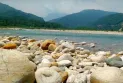 লুটের পর ৩৫ হাজার ঘনফুট উদ্ধার আটক ১৩০টি ট্রাক