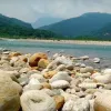 লুটের পর ৩৫ হাজার ঘনফুট উদ্ধার আটক ১৩০টি ট্রাক