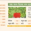 হঠাৎ বাজারে আগুন, সংকটে সীমিত আয়ের মানুষ