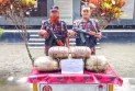 ‎সীমান্তে ১৫ বিজিবি’র বিশেষ অভিযানে ২৫ কেজি ভারতীয় গাঁজা জব্দ
