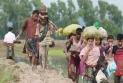 রোহিঙ্গা সংকট সমাধানে বাংলাদেশের পাশে দাঁড়াল ১১ দেশ