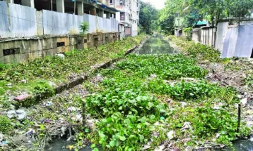 শ্যামাসুন্দরী ঘিরে আশার আলো