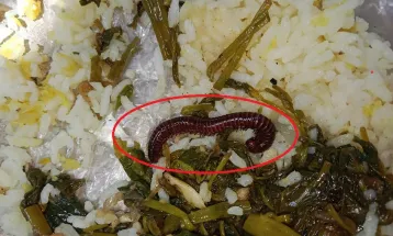বেরোবিতে প্রভোস্ট ছাড়া হল, এবার খাবারে মিলল বড় আকৃতির পোকা