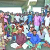 অর্ধশত আসনে কাটাছেঁড়া